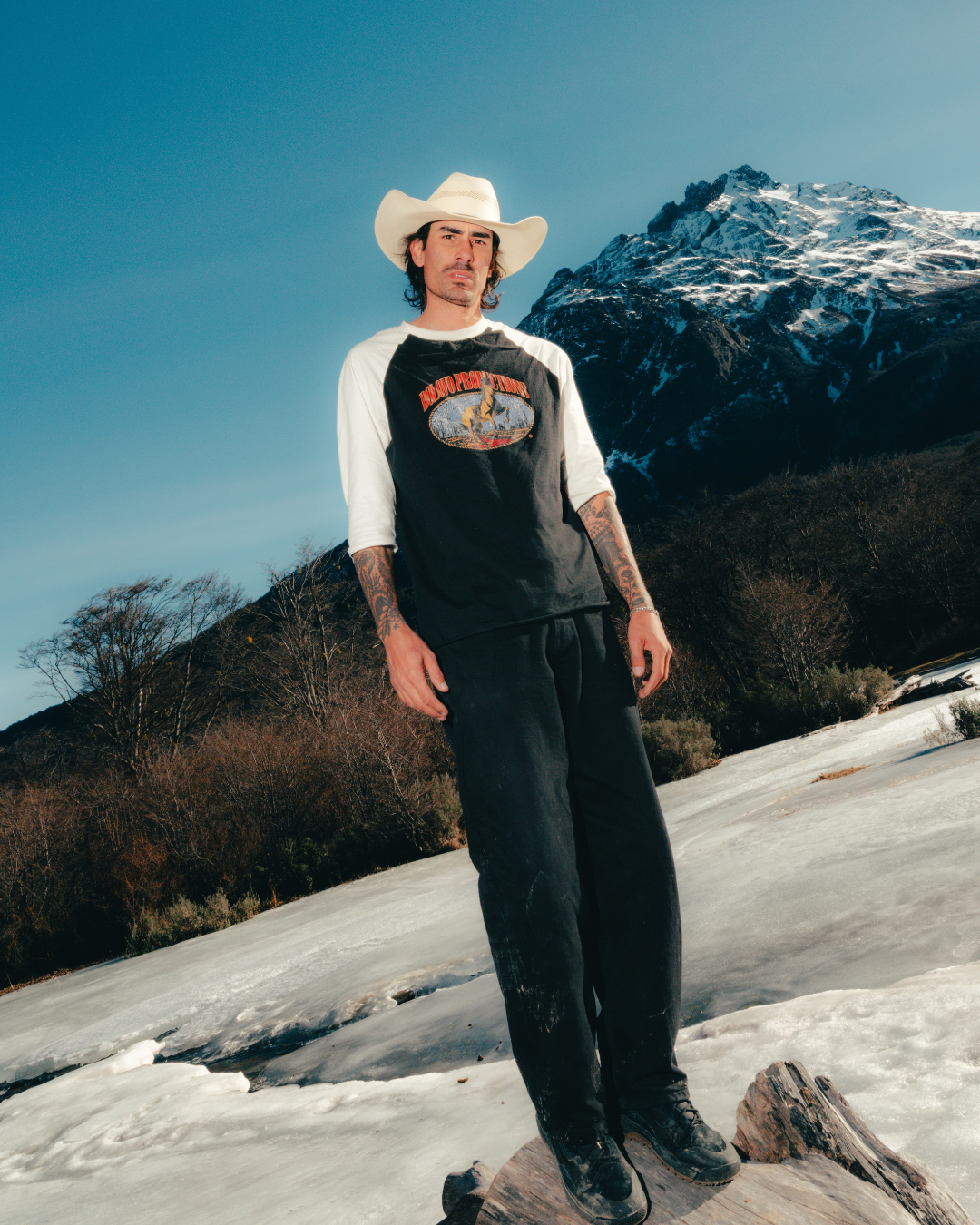 Camiseta Raglan 3/4 Horse Power by Ricardo Dexter