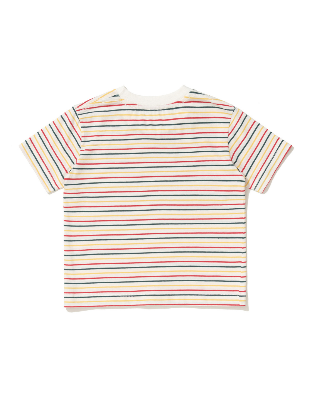 Camiseta Reguin
