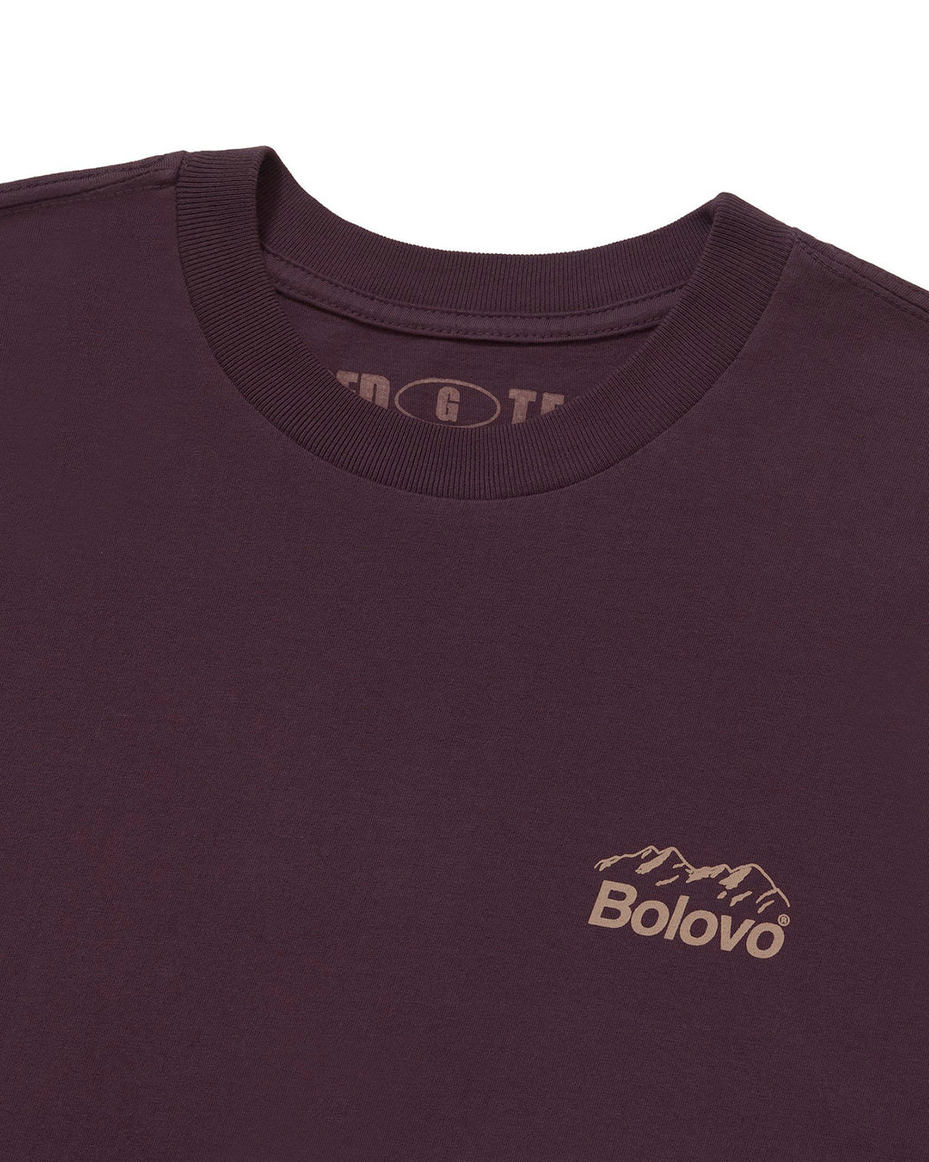 Camiseta Expeditions Team Roxo