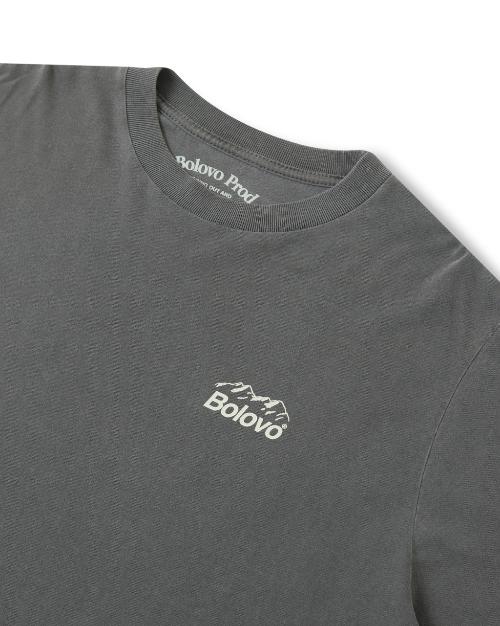 Camiseta Expeditions Team Estonada